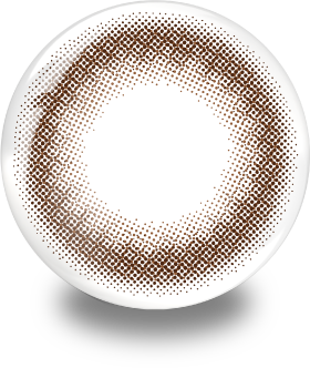 ブラウンシューのレンズ